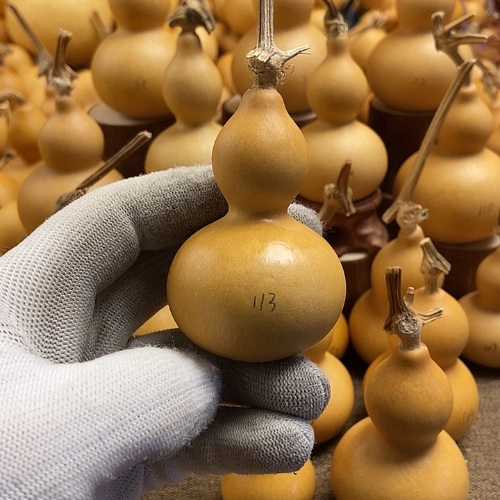 文玩葫芦 完美主义者 慎拍113