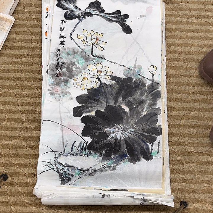 国画花鸟的翅膀和翅膀是