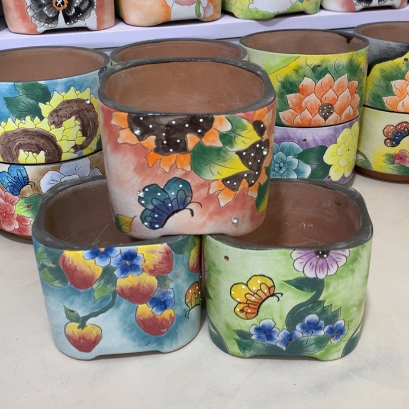 【闪购商品】红陶正品