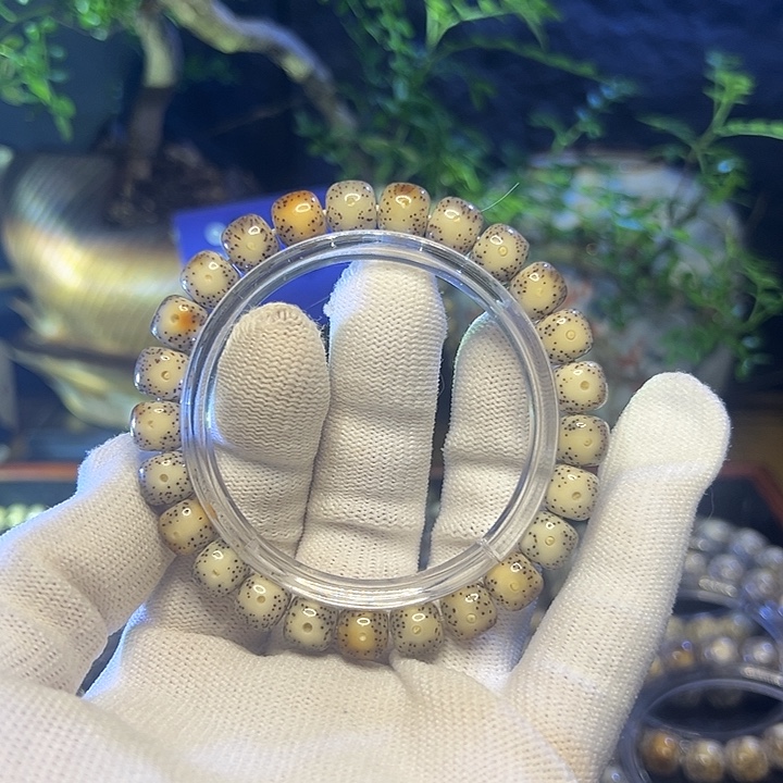 星月菩提手串海南原生态