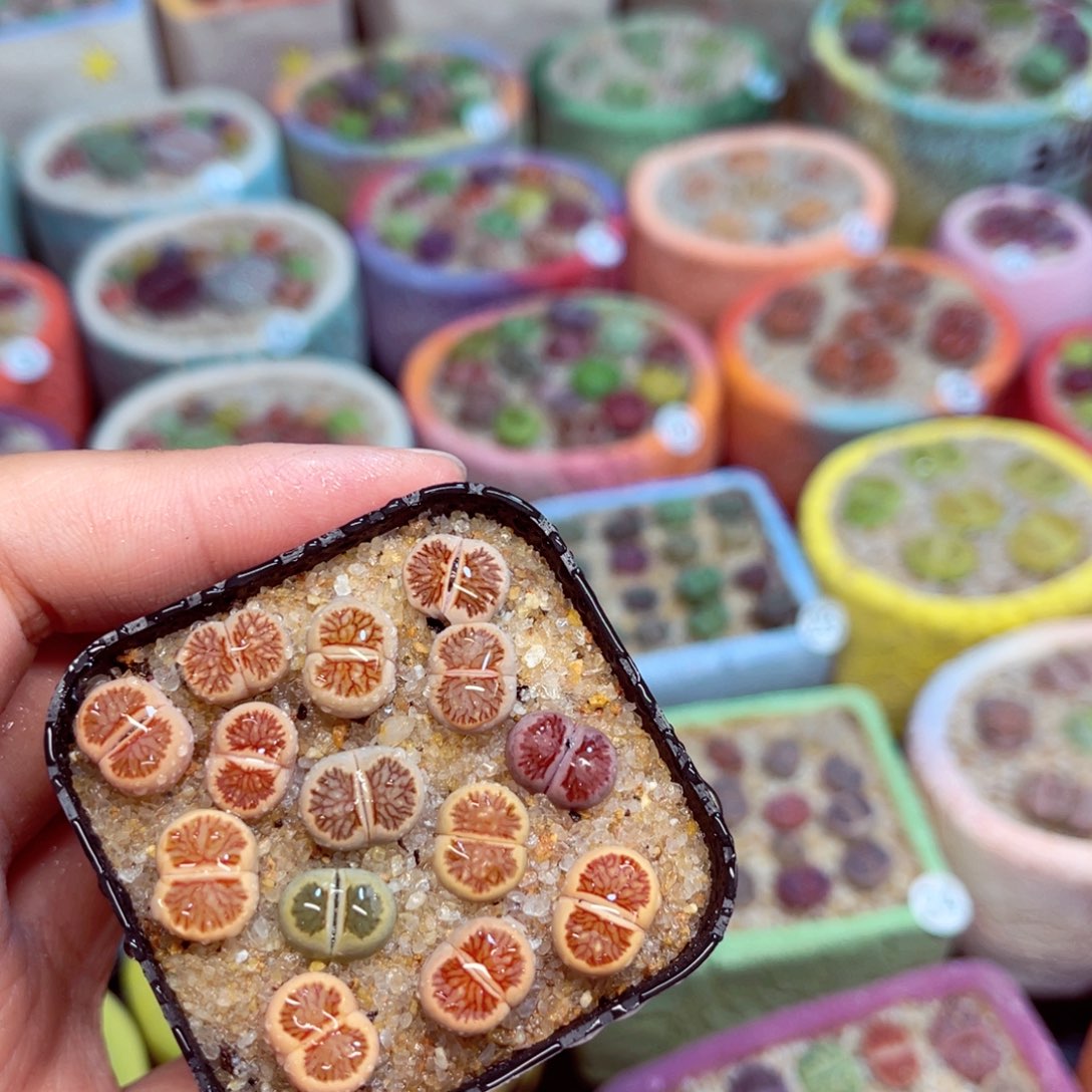 177。88888888888886633333