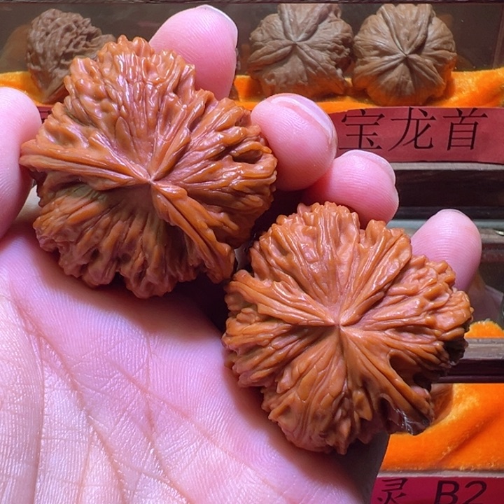 唯****菜白狮球连纯天然麻核桃