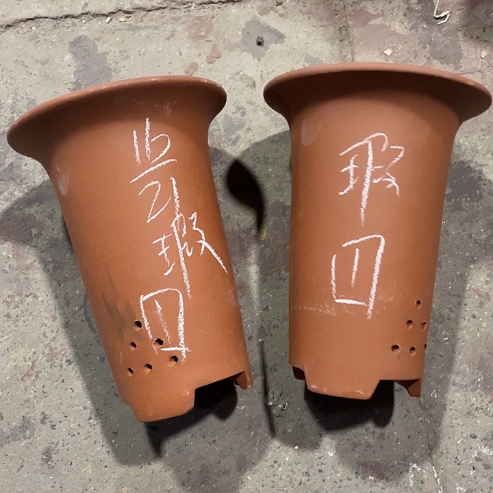 红陶紫砂紫砂紫砂