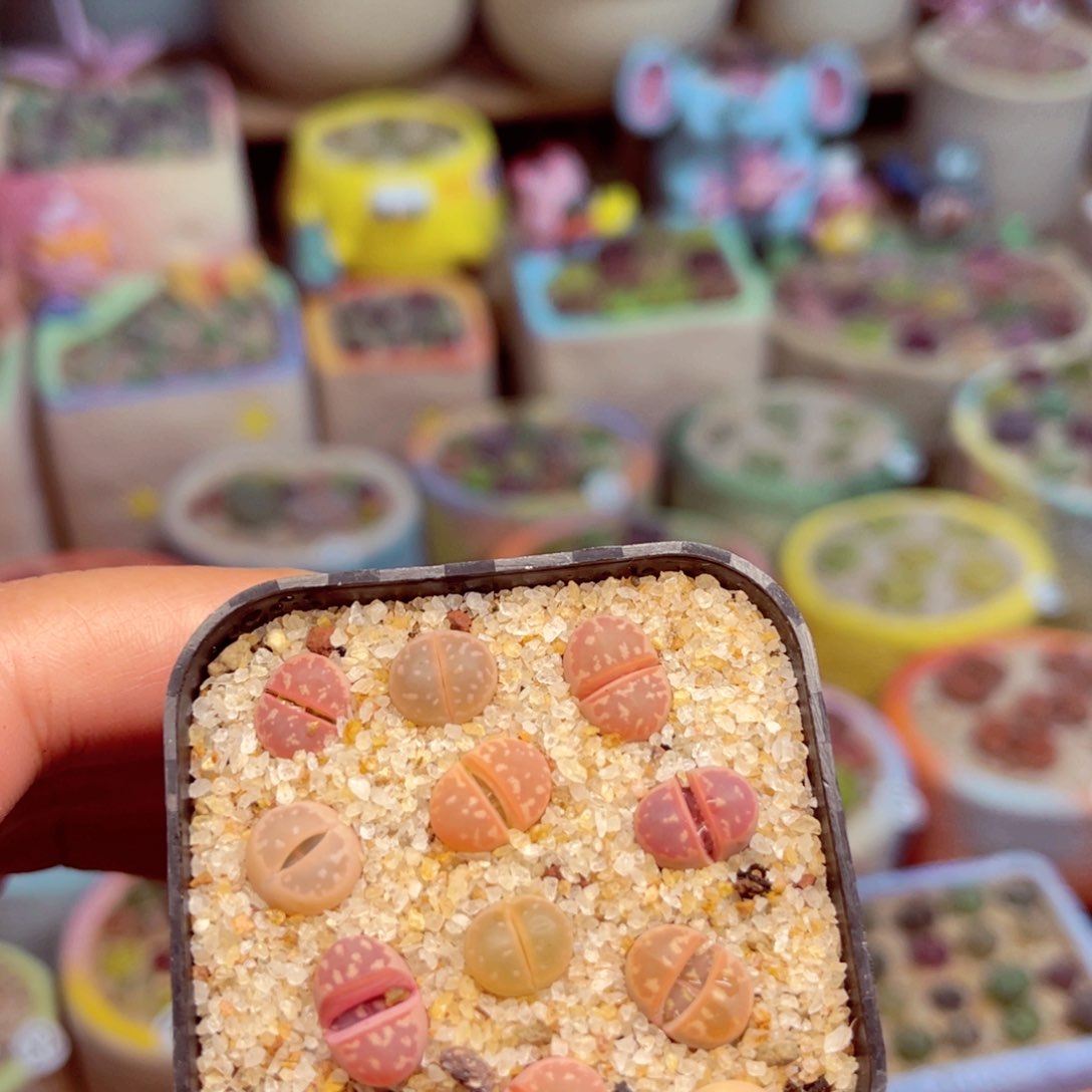 901。8888888888888888