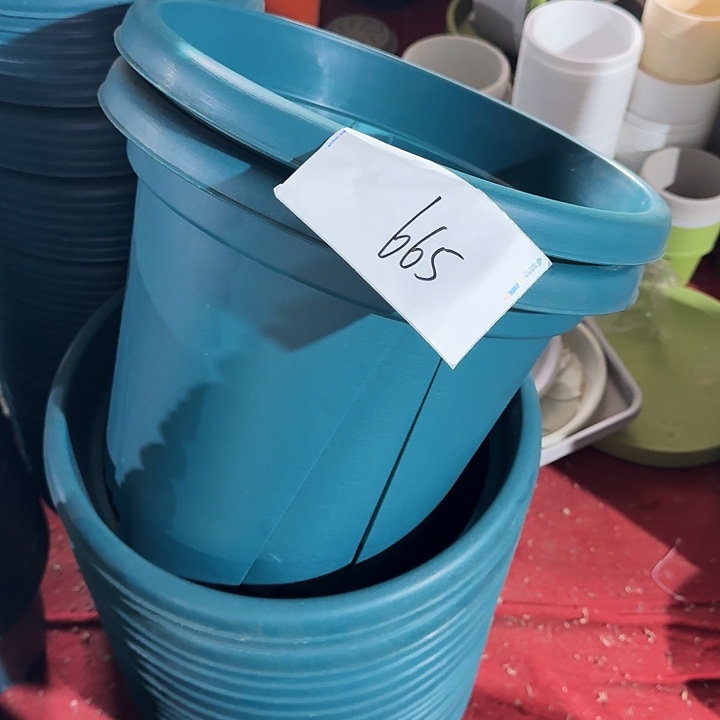 编号665微瑕5个无托