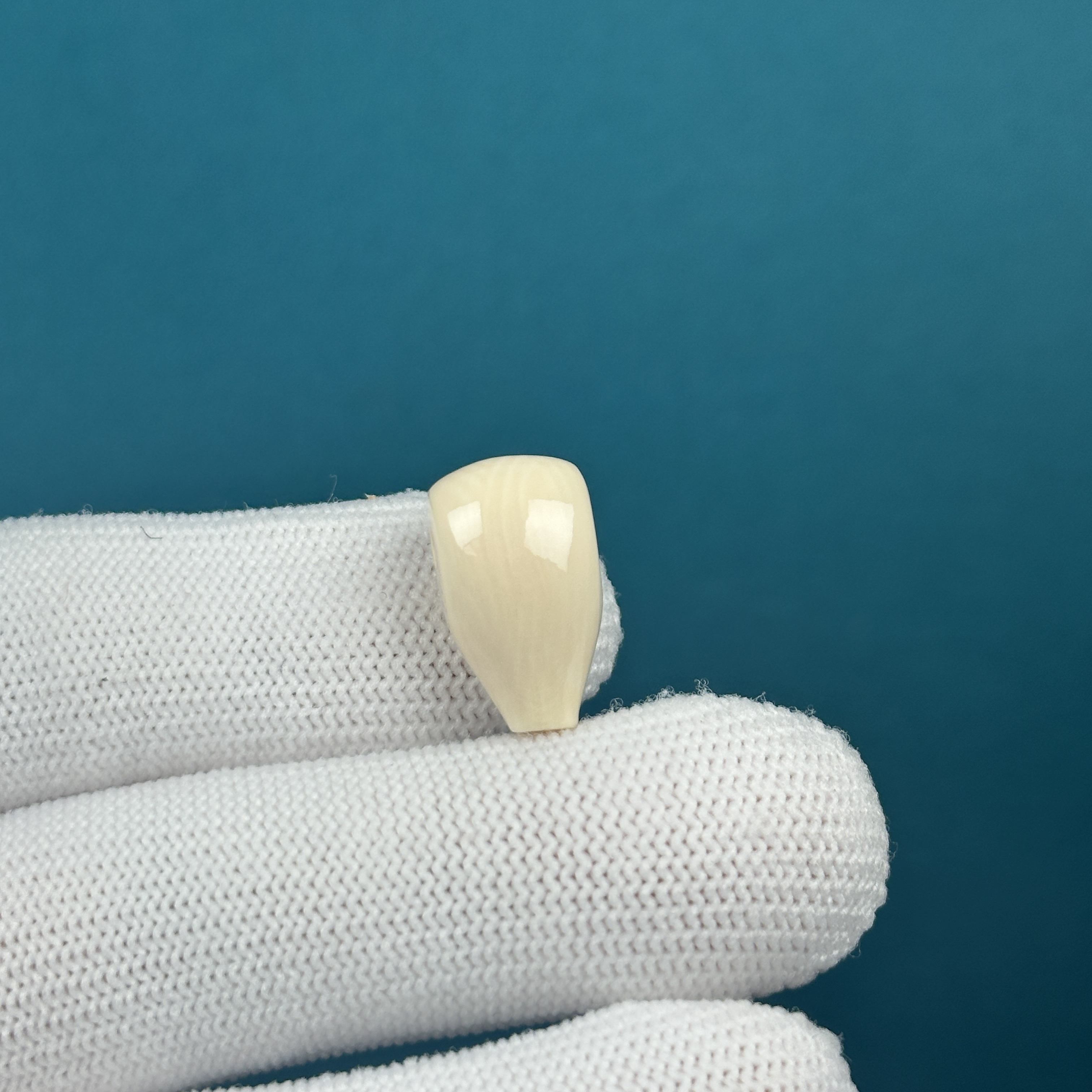 D66-11天然猛犸牙 宝瓶三通 10*17mm支持复检假一罚十