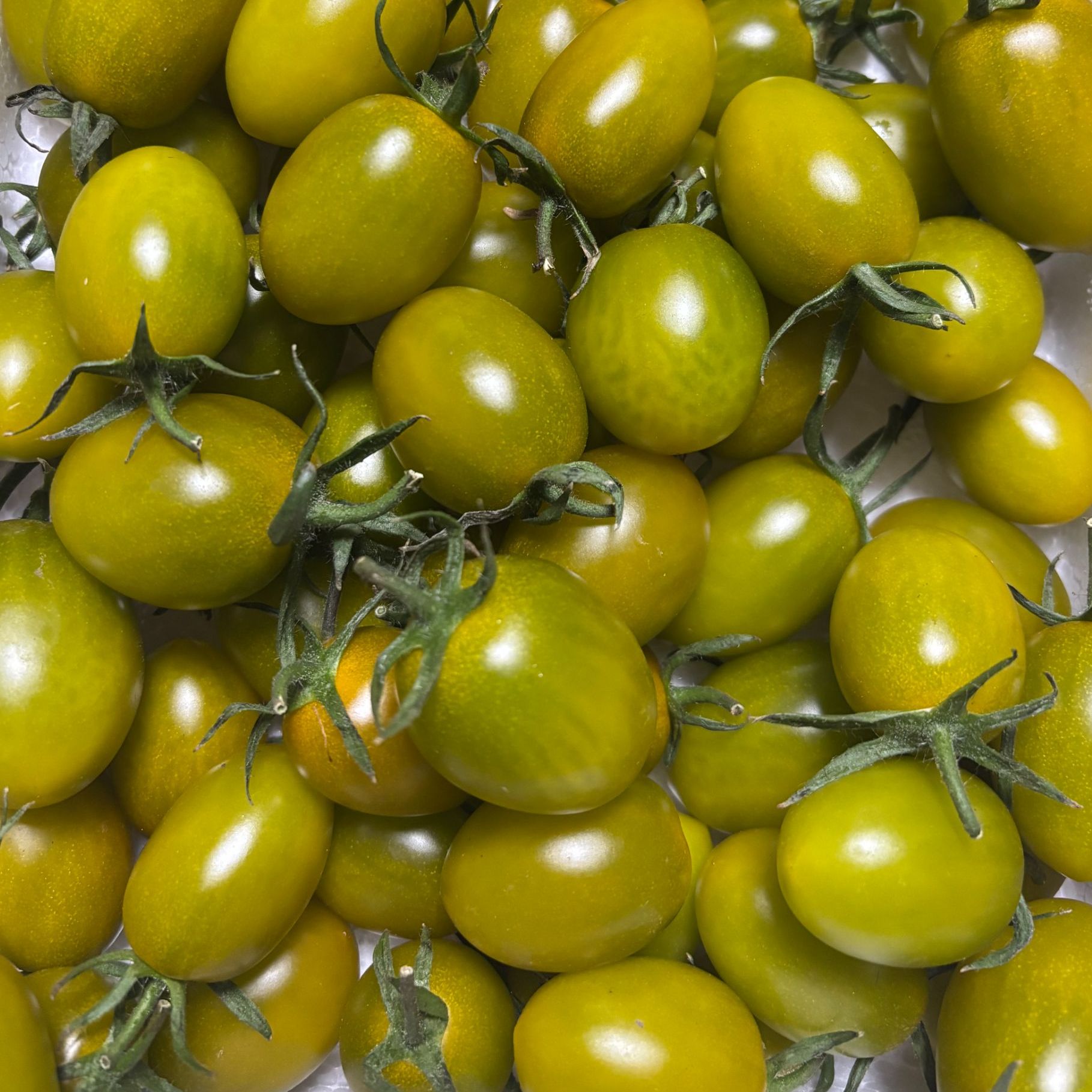 【顺丰包邮】青甜2号小番茄 柿子 千禧果 净果2斤