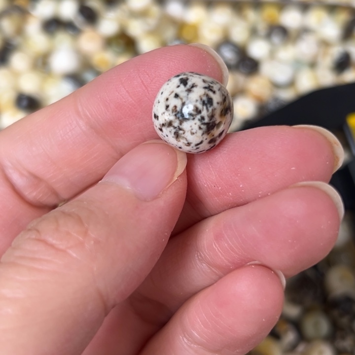 蜜蜡未镶嵌裸石12.6mm一个