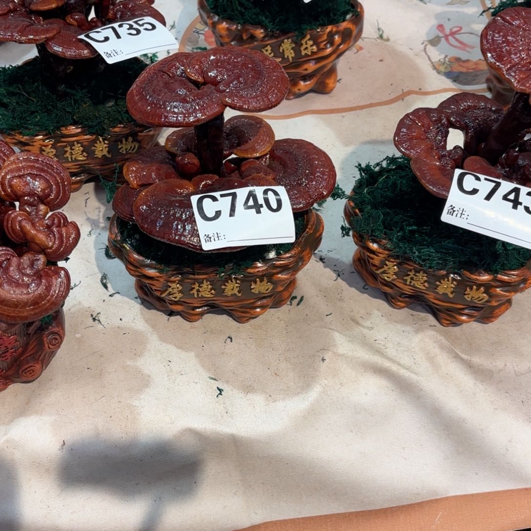 丫****无花朵灵芝8888兔兔兔