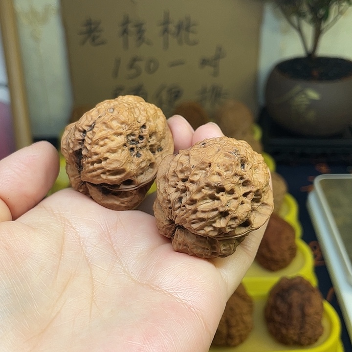 文玩核桃吊坠蚂蚁纹老蟾头41