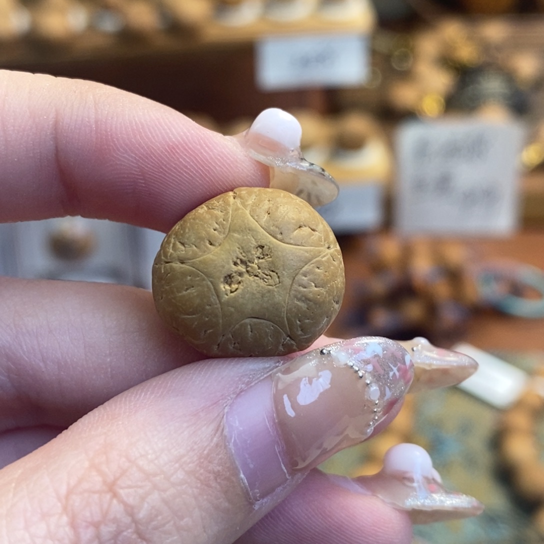 吊坠凤眼菩提五星单颗