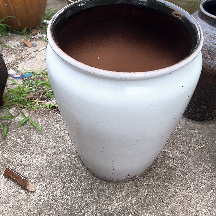 紫砂花盆花盆花盆花色跑得快