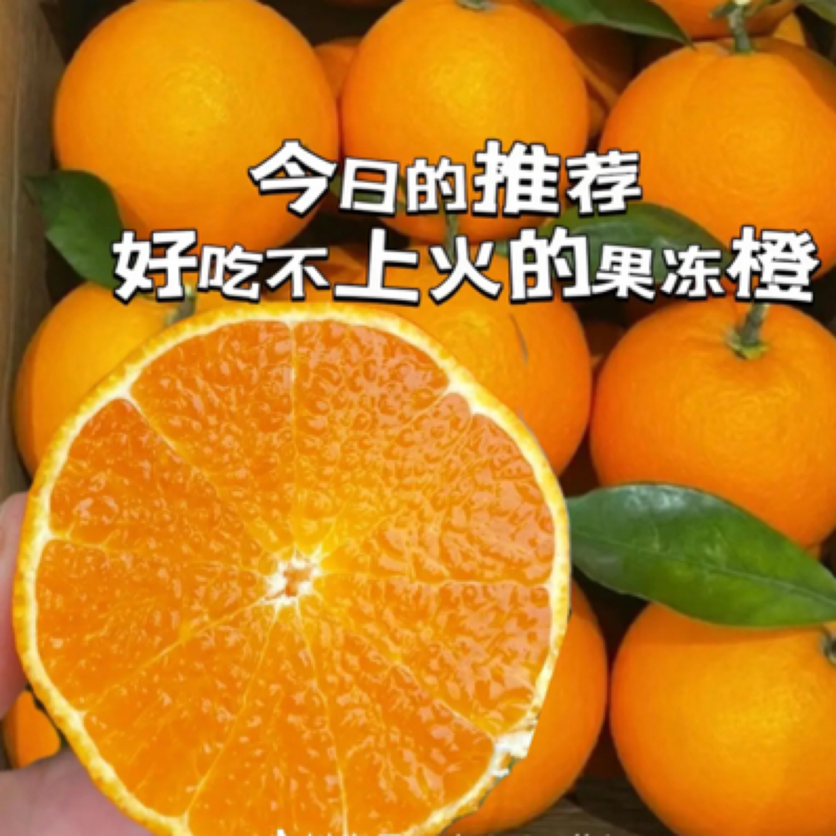 爱媛果冻橙9甜一酸19.9元5斤/500g  爆汁甜～上海市