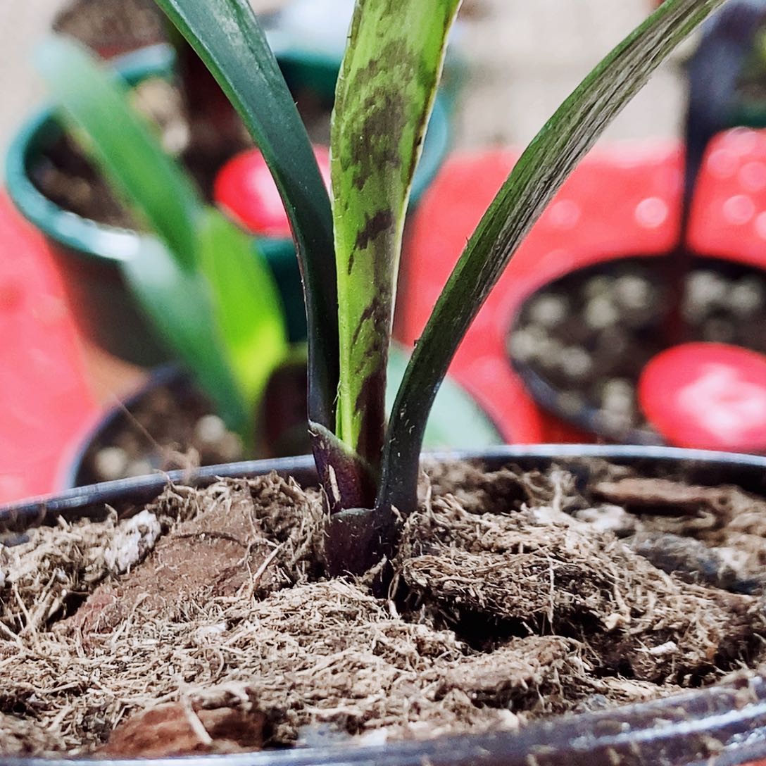 用***0完全开放健健康康快快乐乐