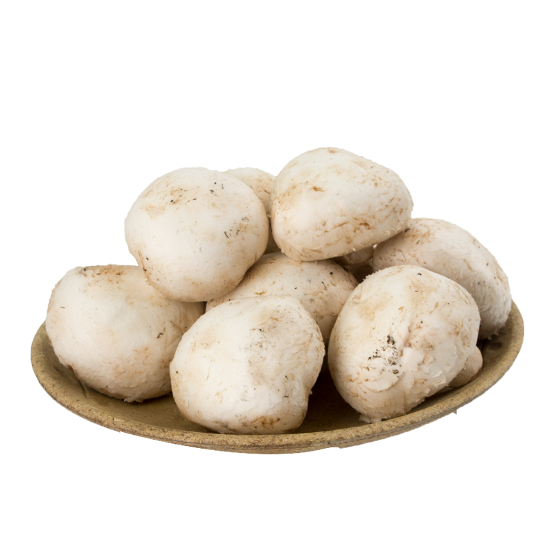 口蘑250g/盒