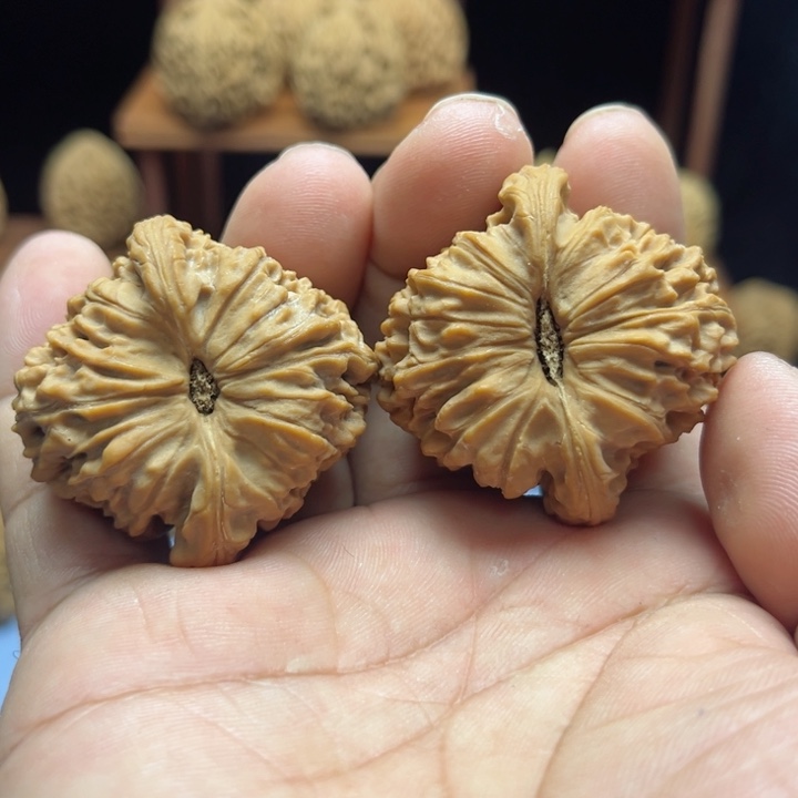 完全开放今***驴南疆石