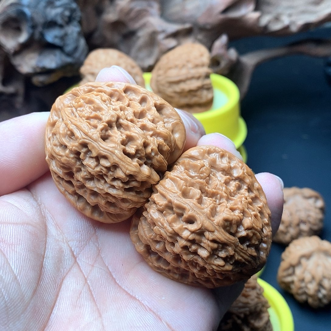 文玩核桃把件编号04三角疆42