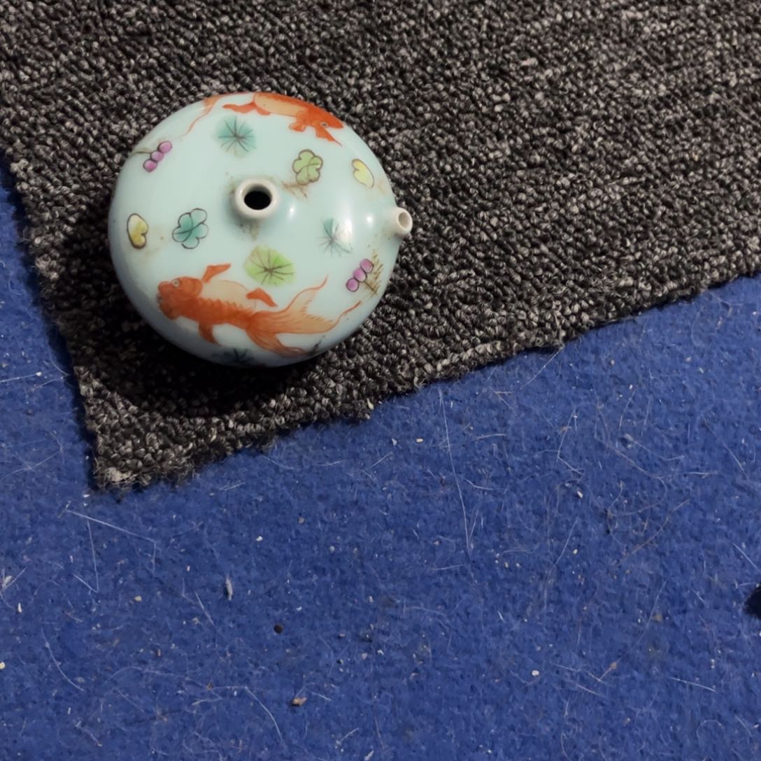 瓶一个水鱼一个一个