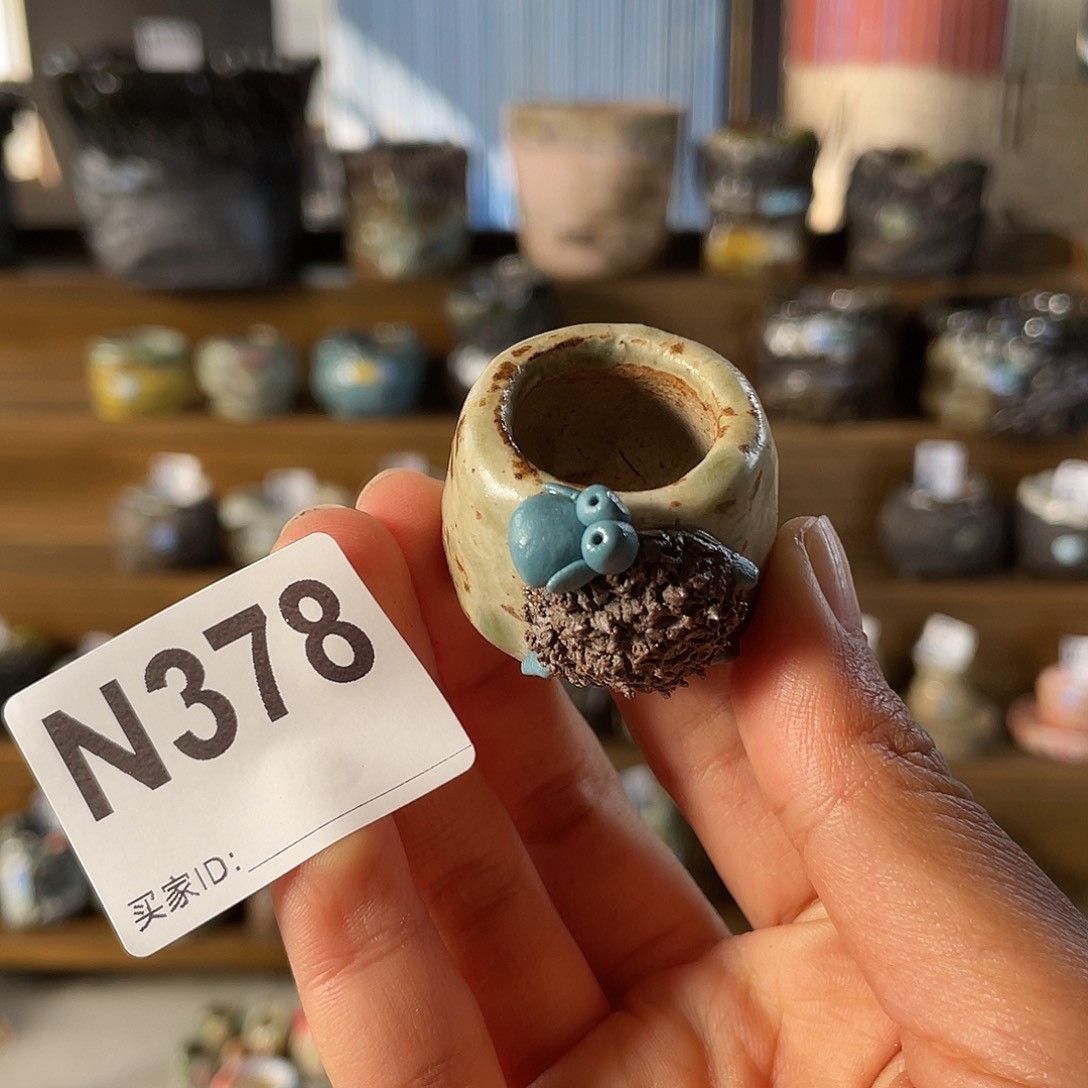 大***子坛子姐花盆经典百搭耐看不过时