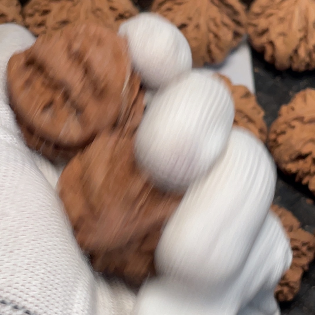 桃核吊坠66 秦岭灯笼野生小众