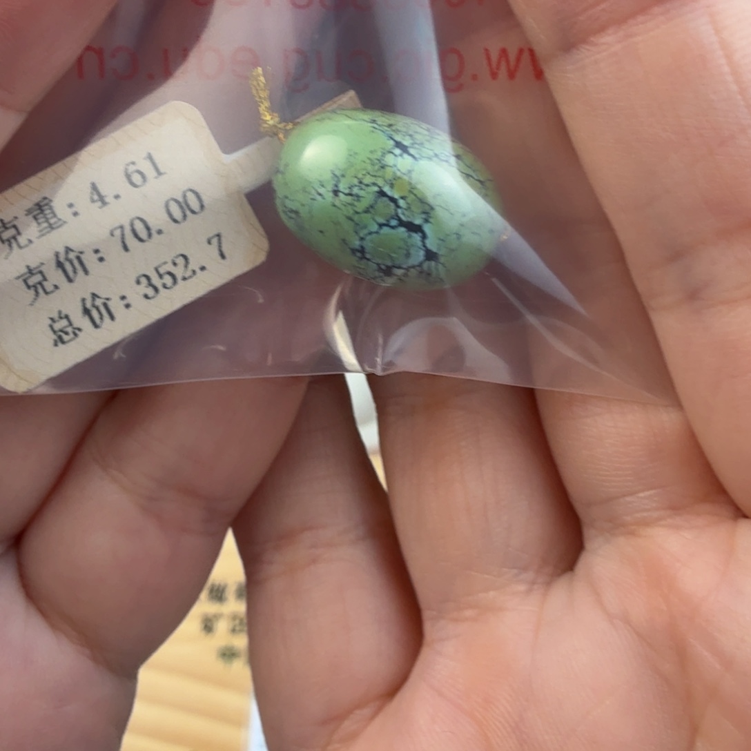 唯***一绿松石未镶嵌珠宝奇石