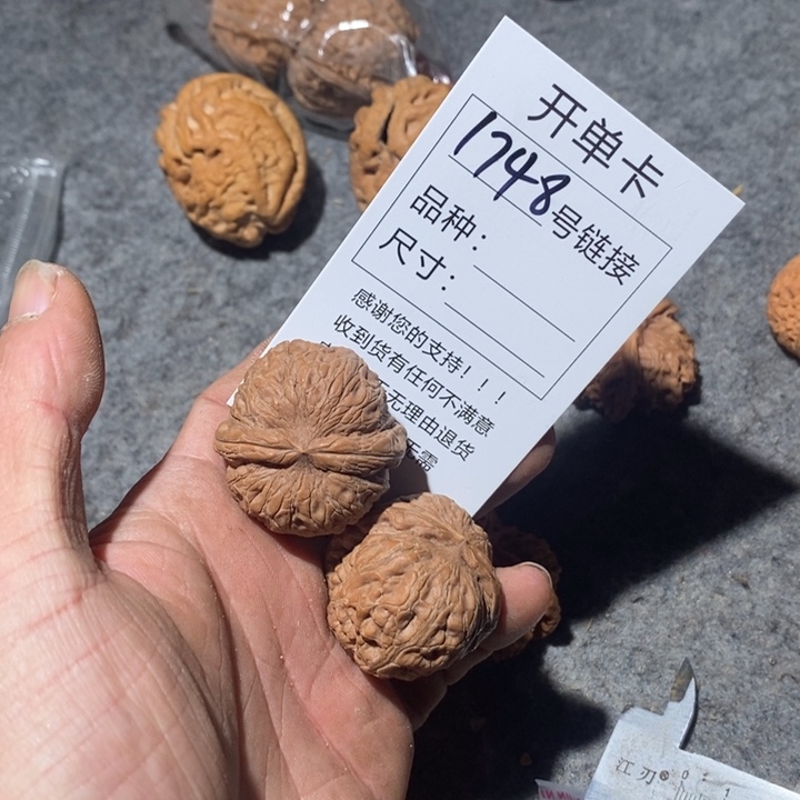 文玩核桃把件1748家咯摸摸哦哦哦