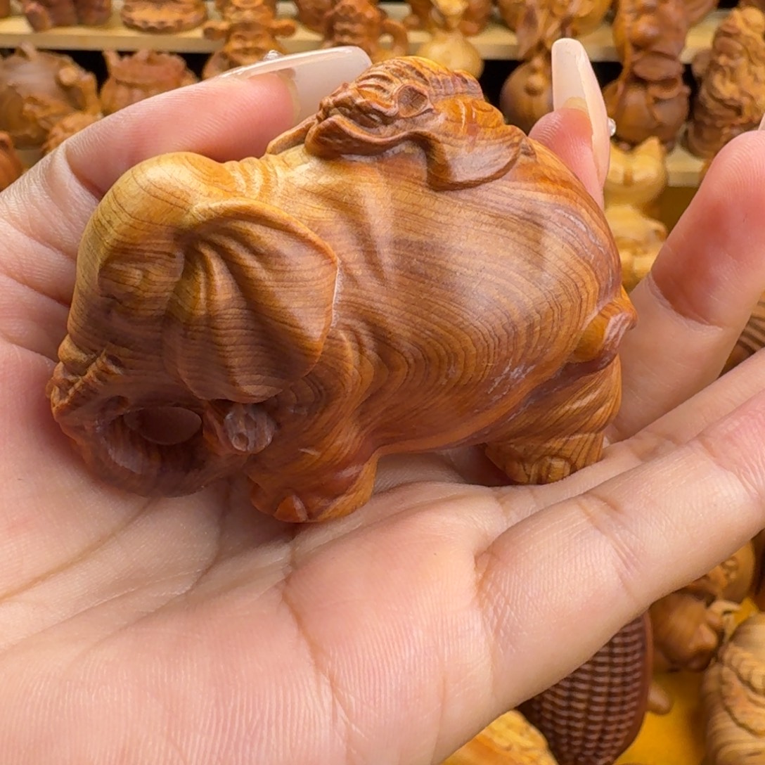 晚***6柏木（崖柏）崖柏象，一物一拍