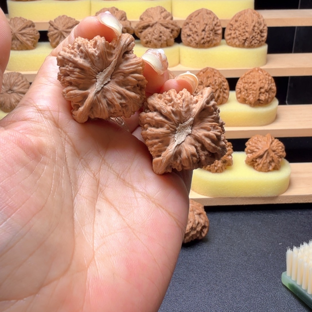 核桃全品38尺密纹