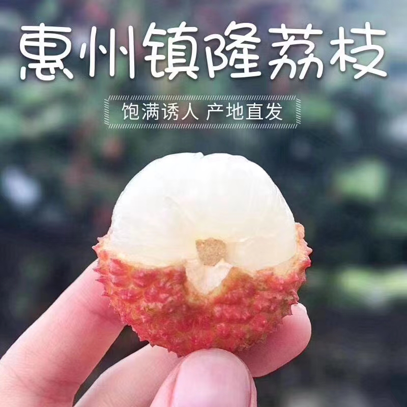 现摘荔枝香甜肉脆桂味，软糯香甜糯米糍净重5斤广东包邮外省补运费