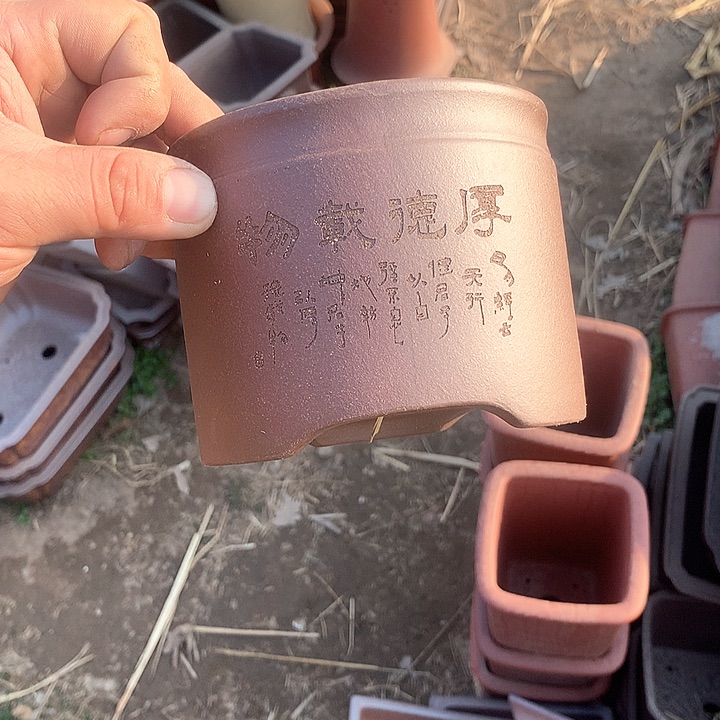 紫砂优秀青年科技人才创新人才