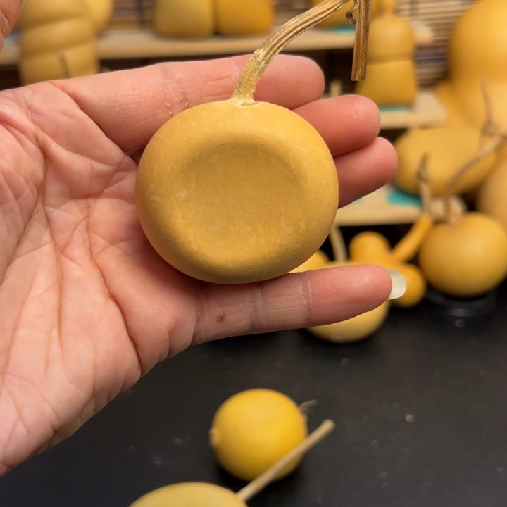 努****汤葫芦葫芦公园里面的