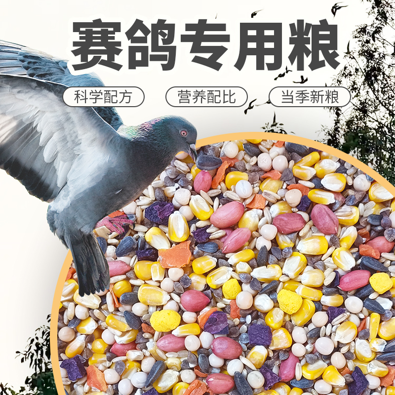 鸽子粮食赛鸽信鸽种鸽专用营养粮大颗粒带壳谷物粮玉米豌豆鸽饲料