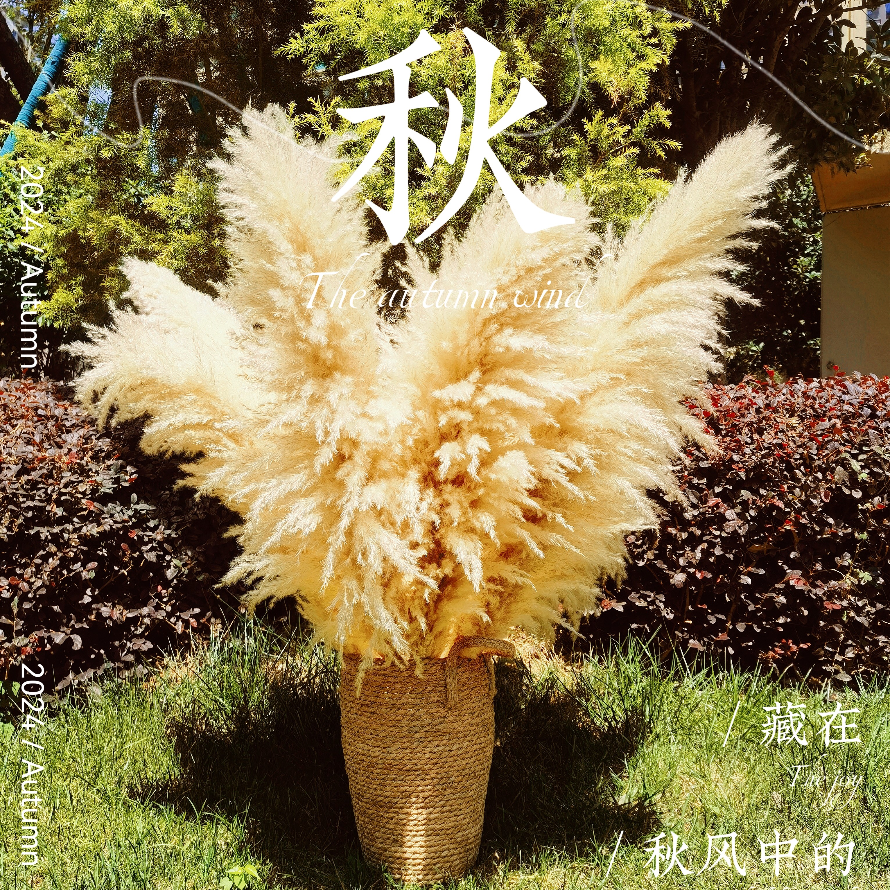 高级感天然大蒲苇干花客厅落地装饰居家摆件