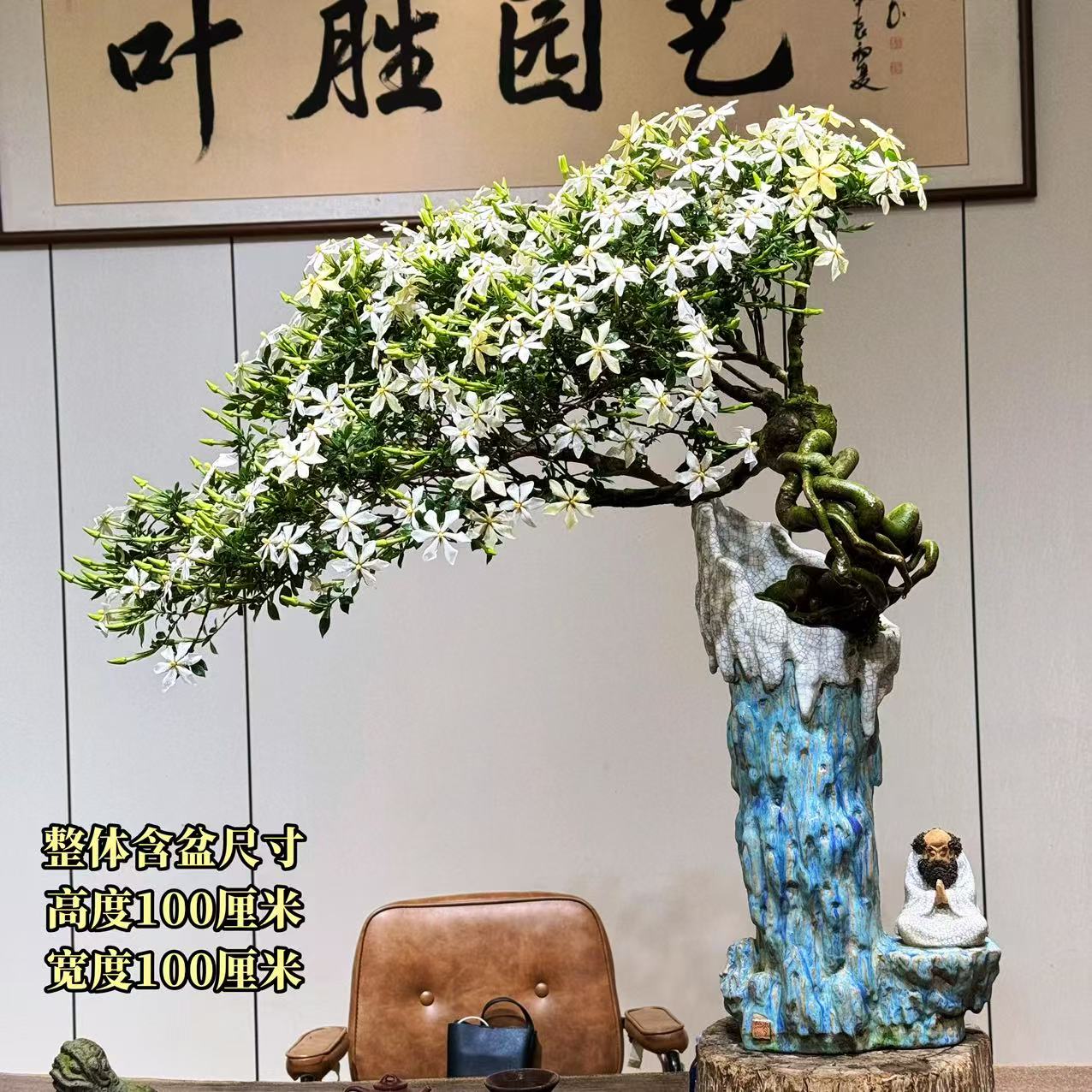 【叶胜园艺】精品四季榄叶栀子花盆景