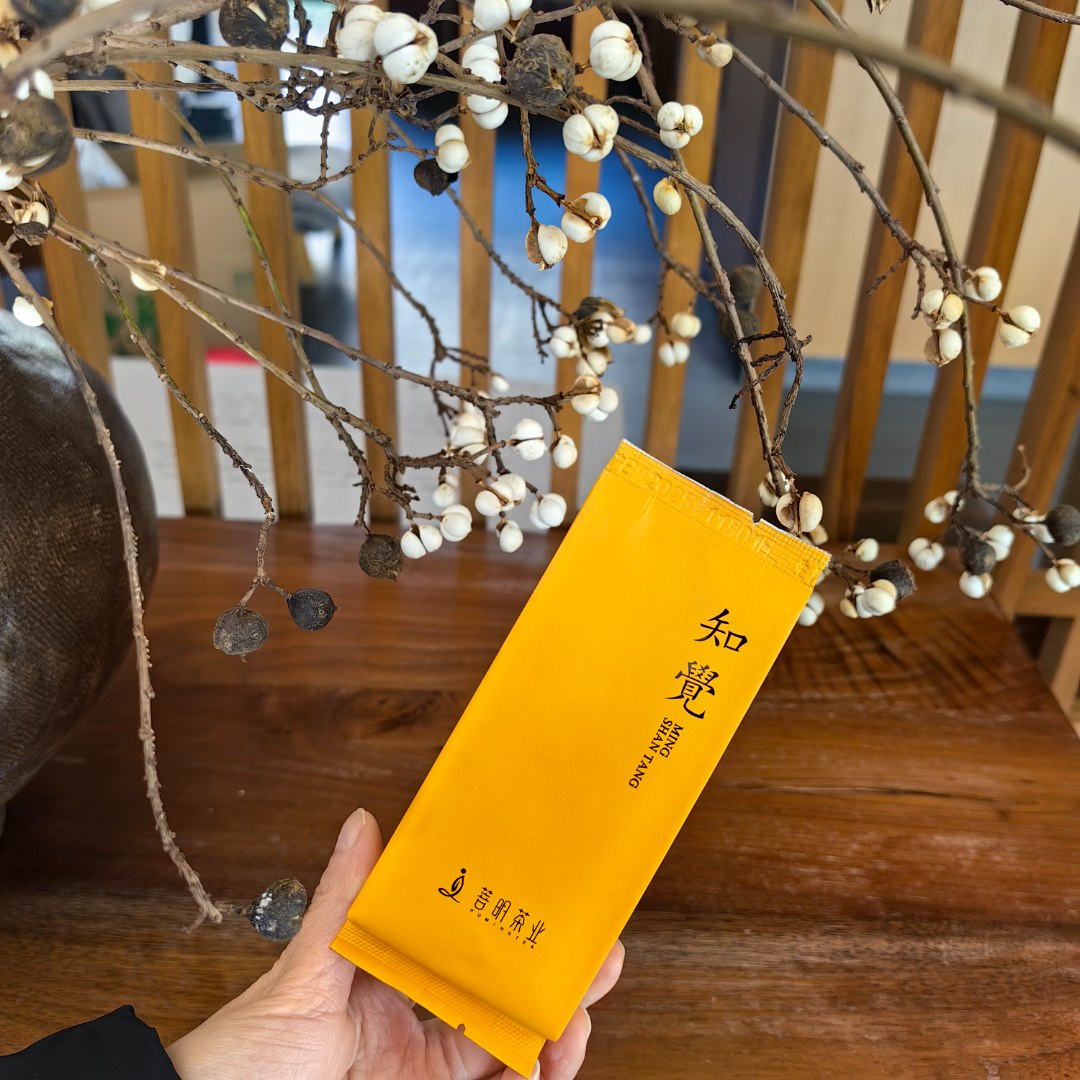 菩明【知觉】2018年或2019年古井老丛，木质陈香且甜润（储存得当）