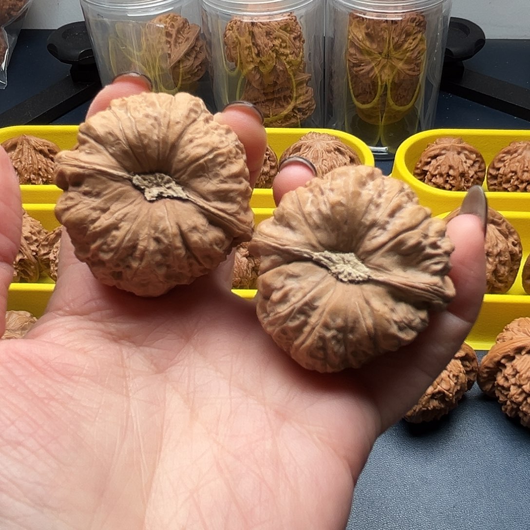 踏***梅核桃43尺寸南瓜墩