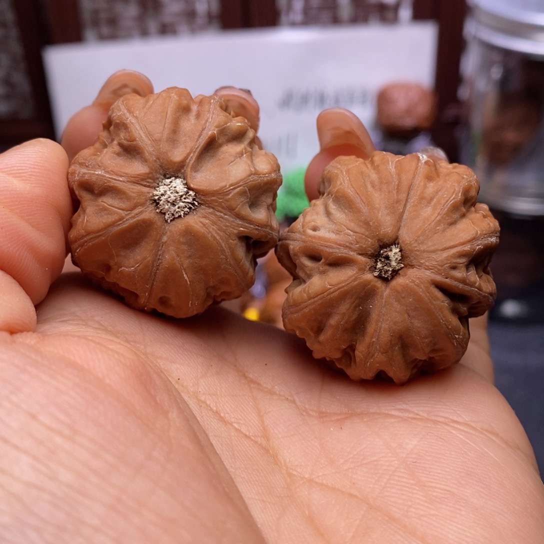 文玩核桃把件核桃104