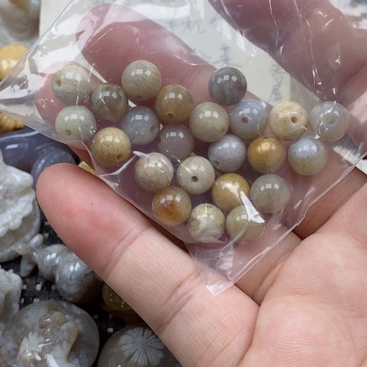 颈饰未镶嵌硅化珊瑚（珊瑚玉）