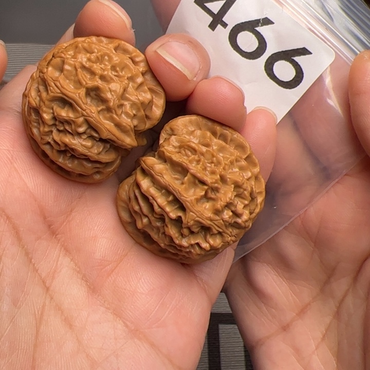 核桃全品苹果园34尺466