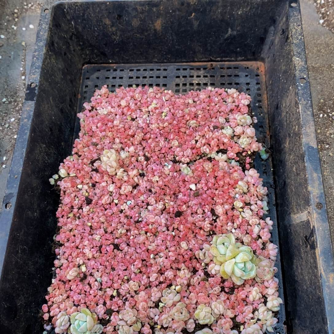 116多人受伤，你在哪里