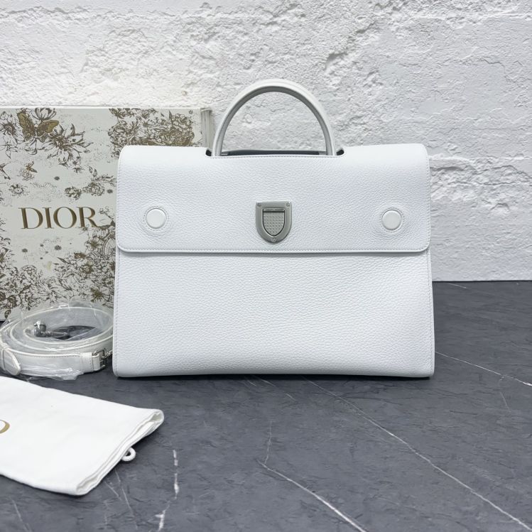 95新/迪奥/手提包/C8878750281/[251224SWB]