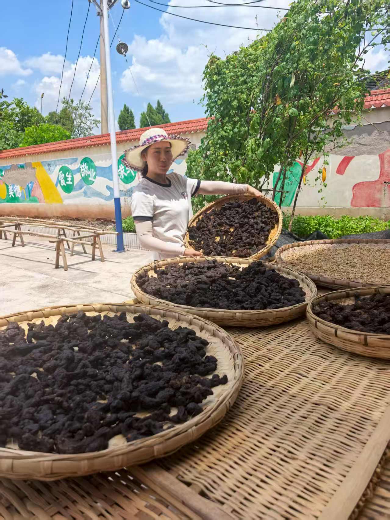 山城老虎姜可以直接吃泡水泡酒煲汤
