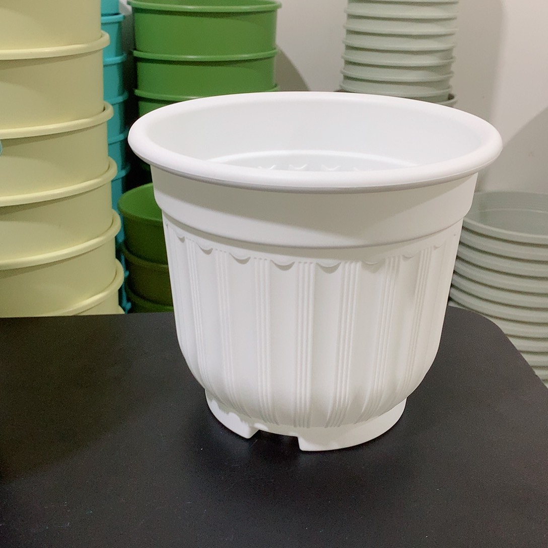 树脂罗马口21白4个无托