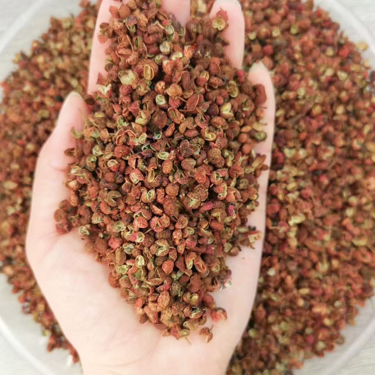 产地直发大红袍花椒特香特麻火锅调味料
