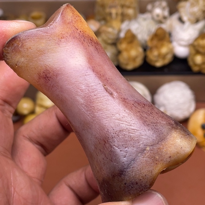 驼骨摆件人工养殖