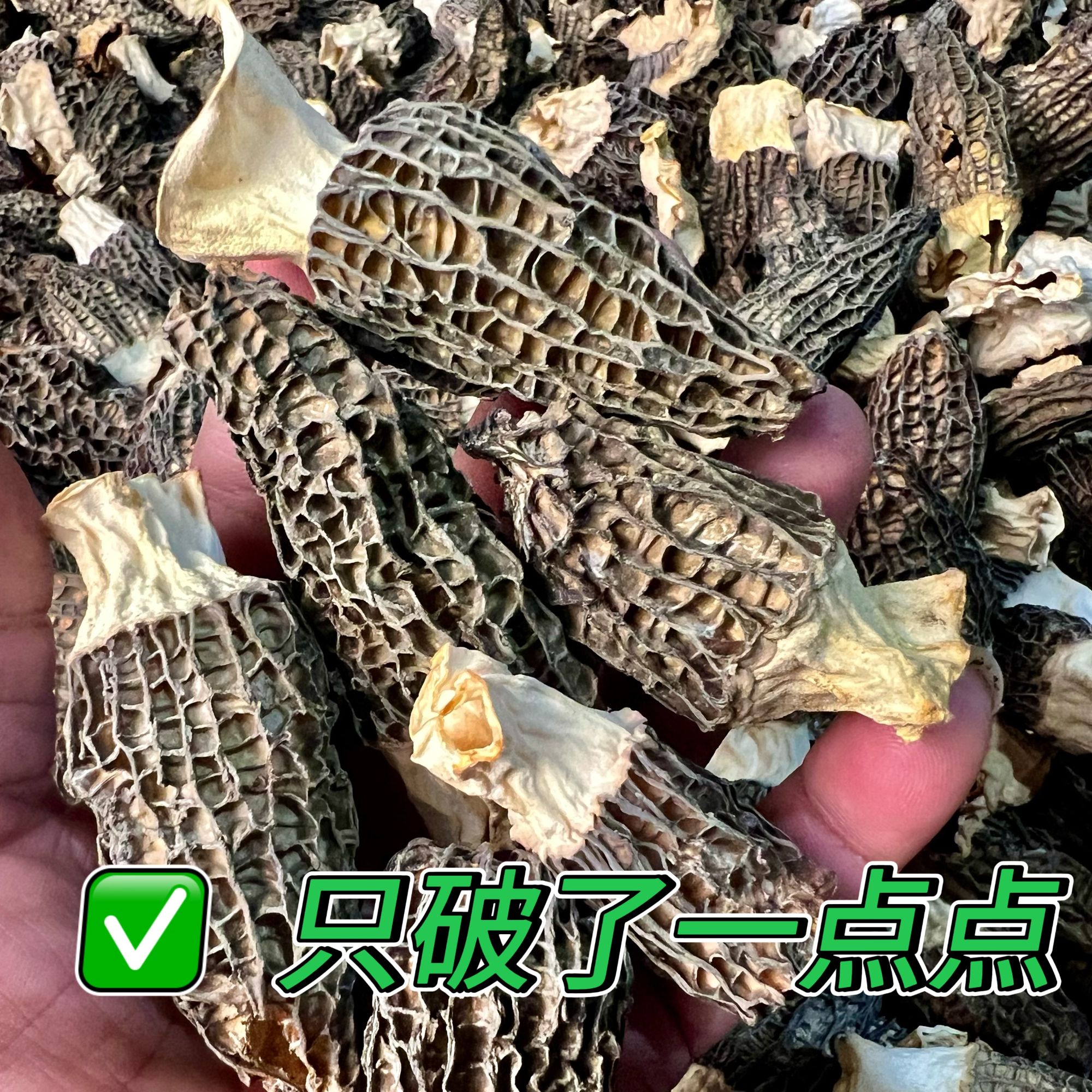 羊肚菌六妹干货头茬大破损菇性价比