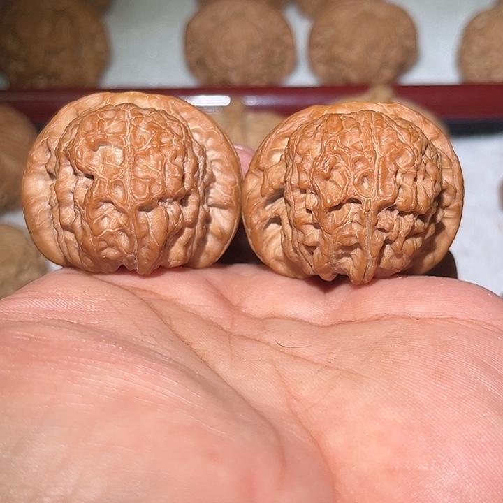 享***活木42血麒麟。      