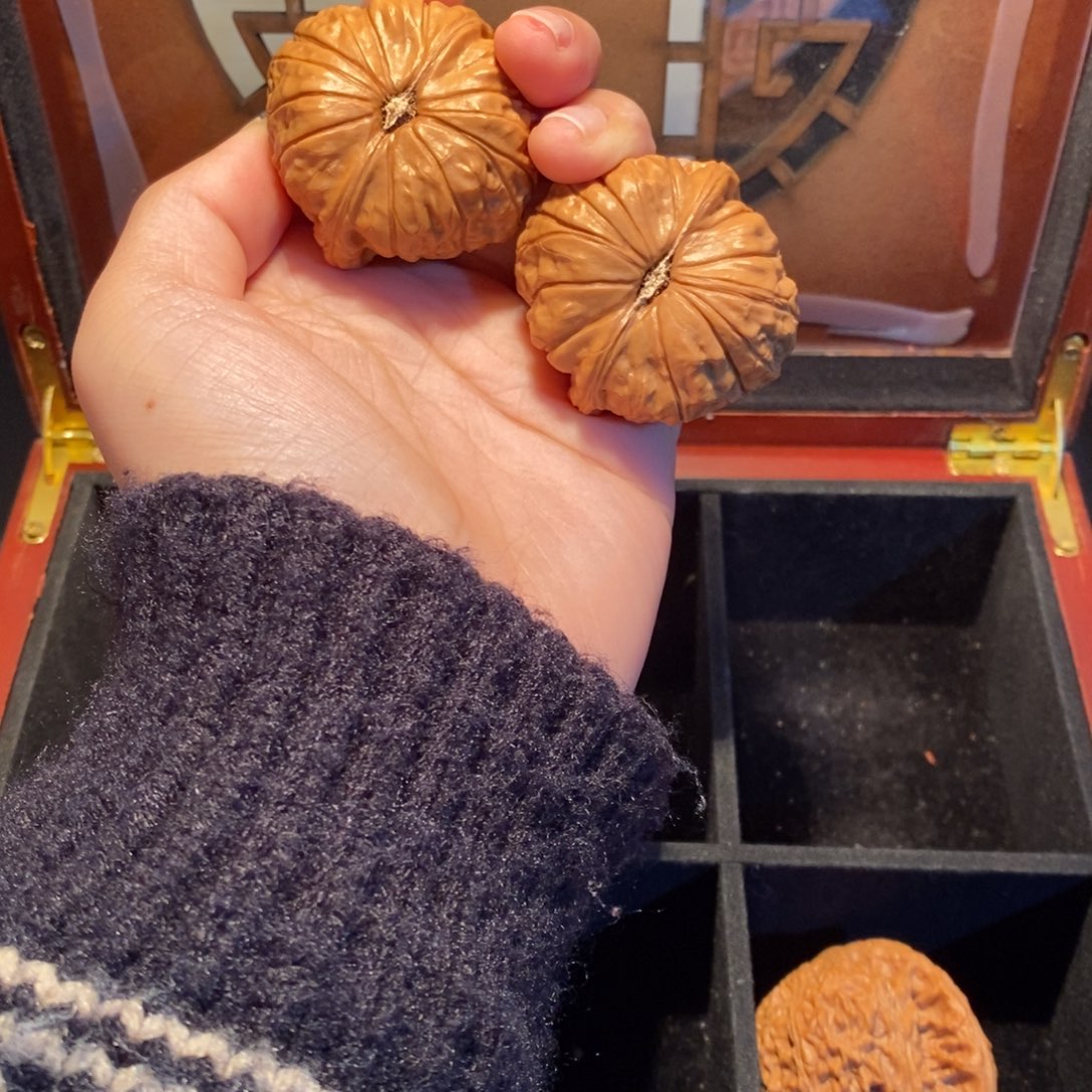 向***树文玩核桃吊坠00000000000