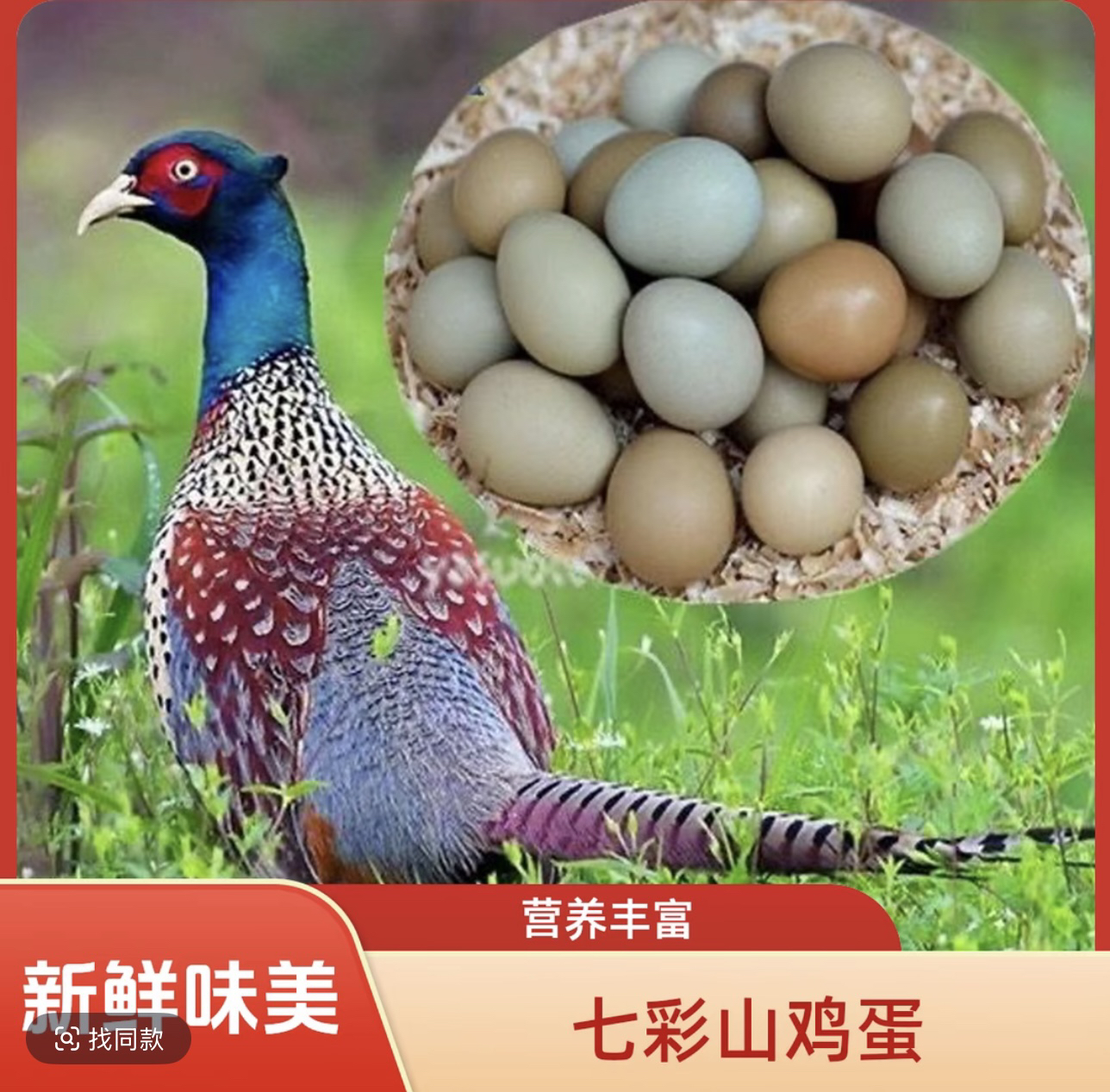 60枚七彩山鸡蛋（食用蛋）农家散养新鲜辅食早餐营养蛋清嫩蛋黄大