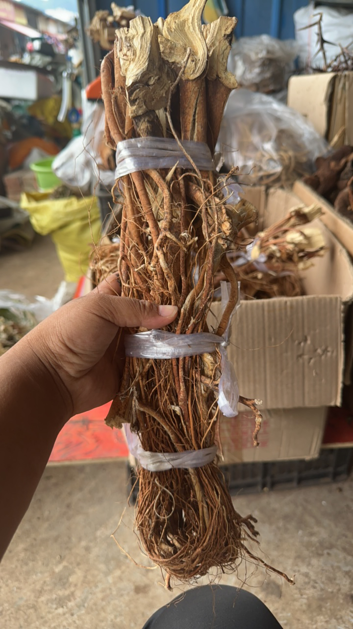 五指毛桃   整枝干货自然晾晒放心使用